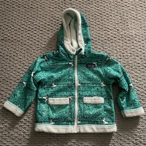 Patagonia fleece hooded jacket